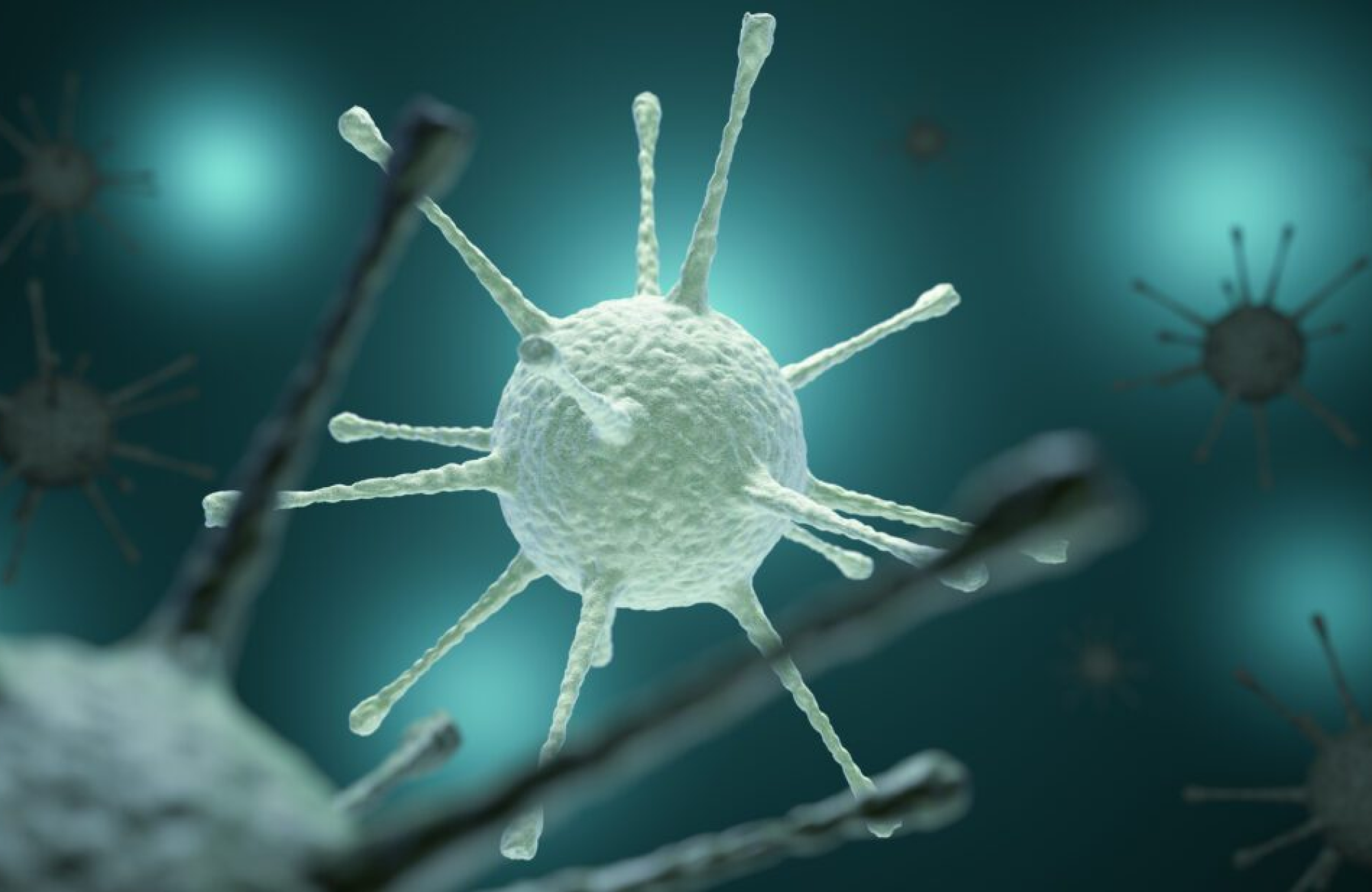 How Benzyl Alcohol is Commonly Used to Help Treat Parasitic Infections