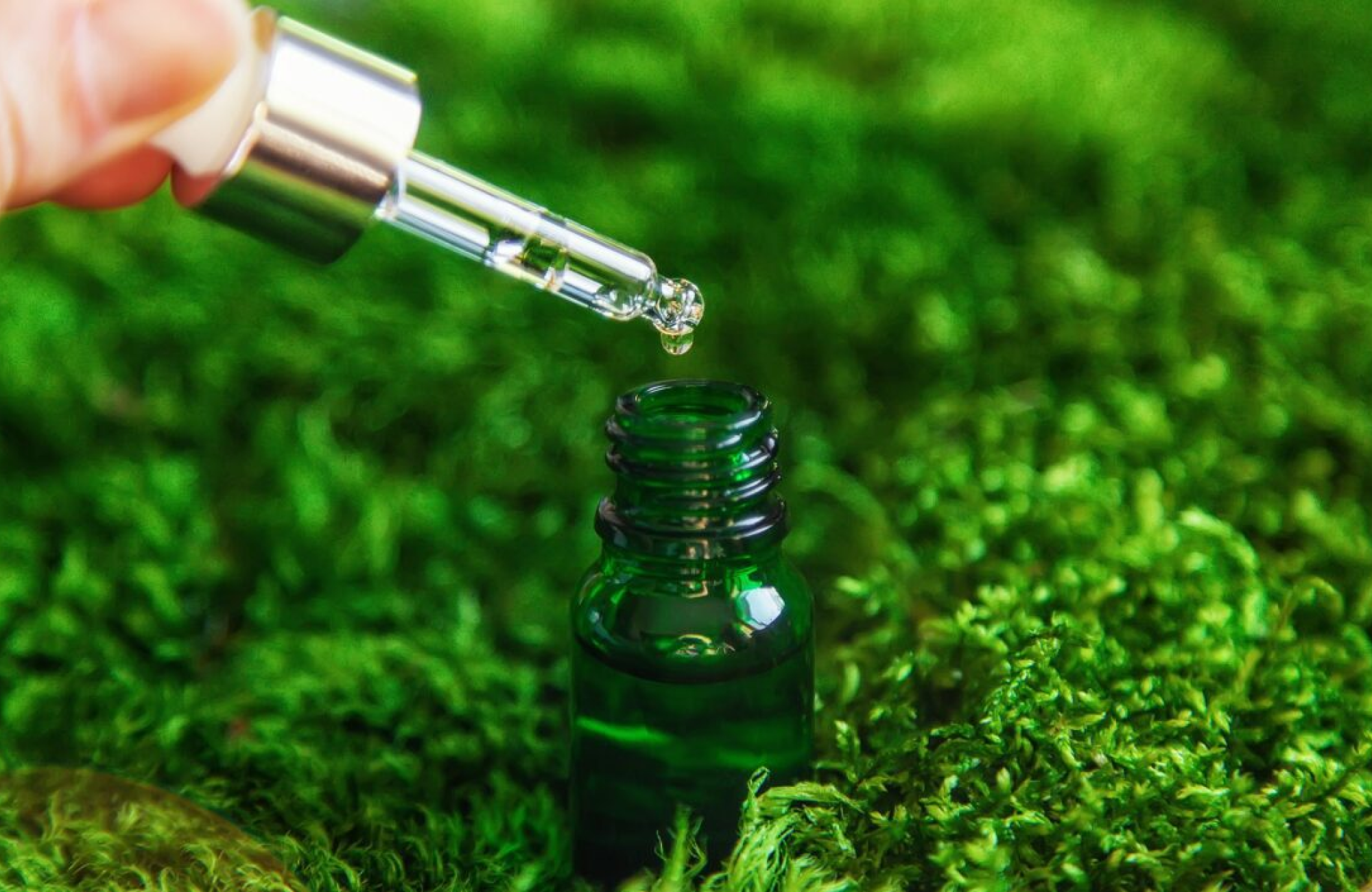 The Wonders of Neem Oil: When and Where it Can Be Used