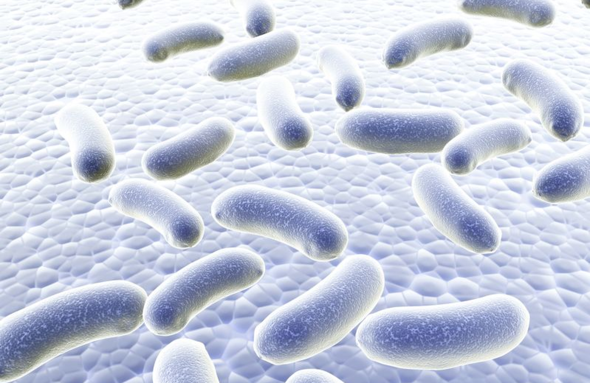 Understanding Mask Ratings and Protections