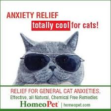 HomeoPet Anxiety Relief-15ml