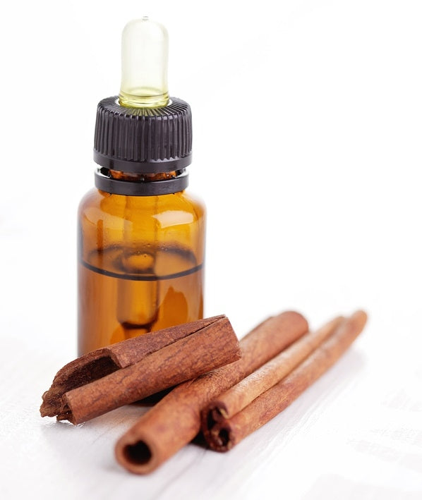 Cinnamon Leaf Pure Essential Oil, 30ML in Glass Euro Vial
