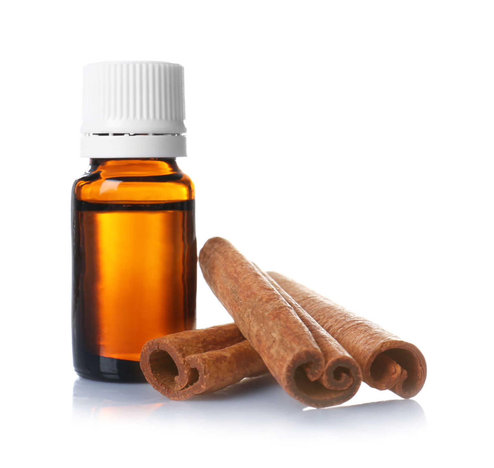 Cinnamon Leaf Pure Essential Oil, 30ML in Glass Euro Vial
