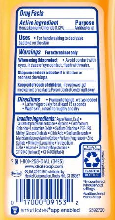 Dial Antibacterial Liquid Hand Soap, 8oz