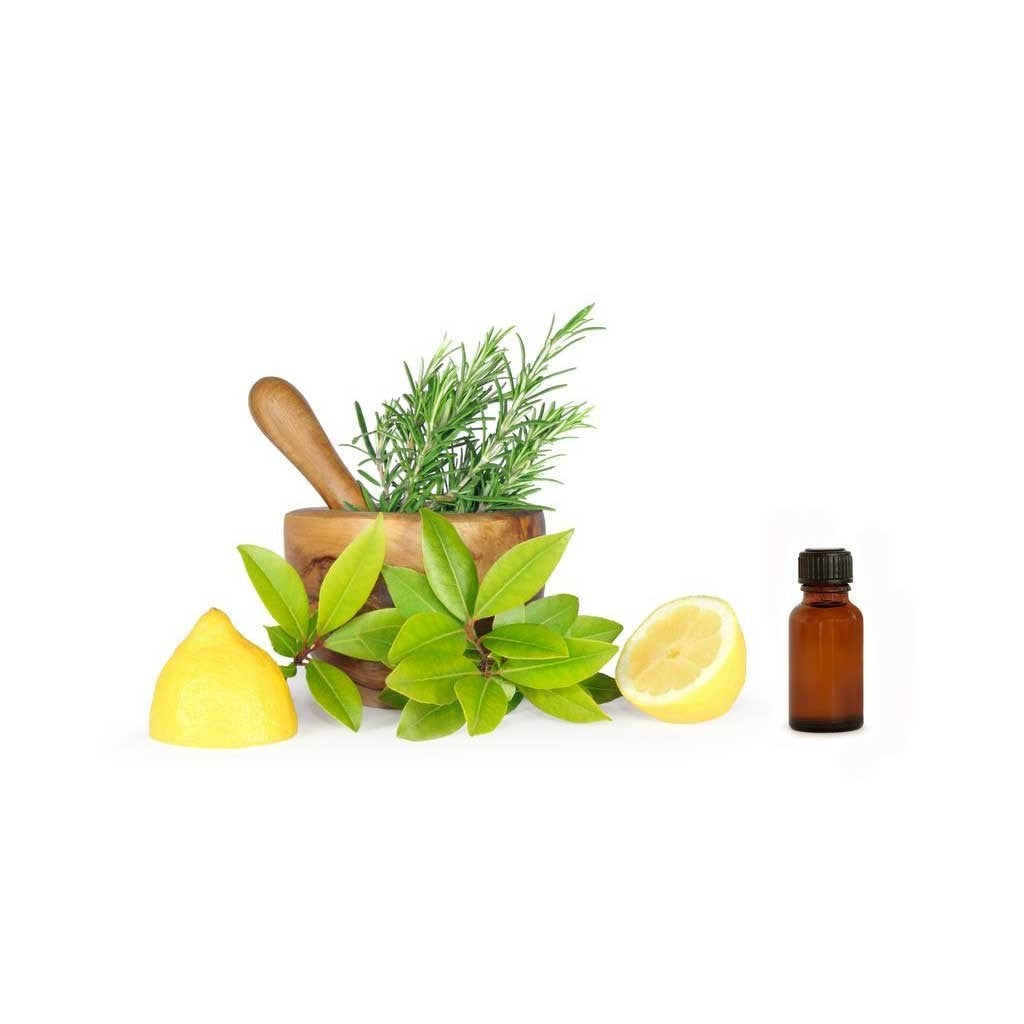 Certified Organic Eucalyptus Lemon Pure Essential Oil, 15ml