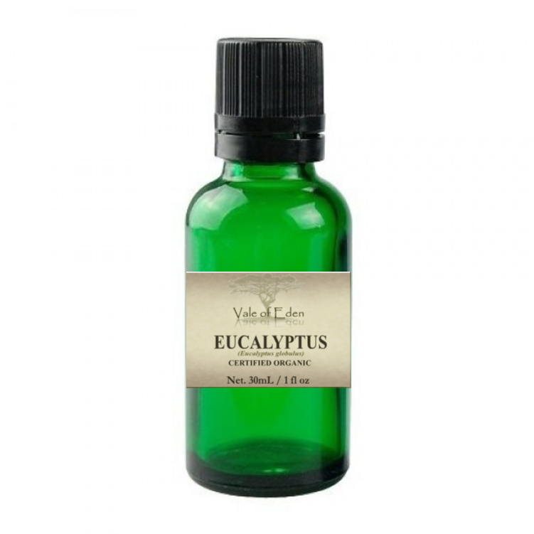 Eucalyptus Certified Organic Essential Oil, 30ml