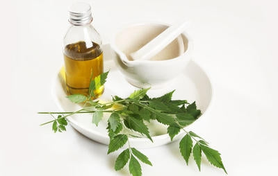 Neem Oil, Certified Organic, Virgin, Cold Pressed, 2 fl oz