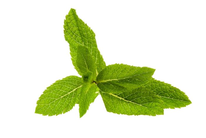 Spearmint Pure Essential Oil, Certified Organic, 15ML, By Vale of Eden