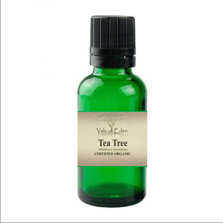 Tea Tree Pure Essential Oil 15ml, Certified Organic, By Vale of Eden