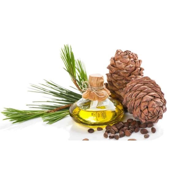 Certified Organic Atlas Cedarwood Essential Oil