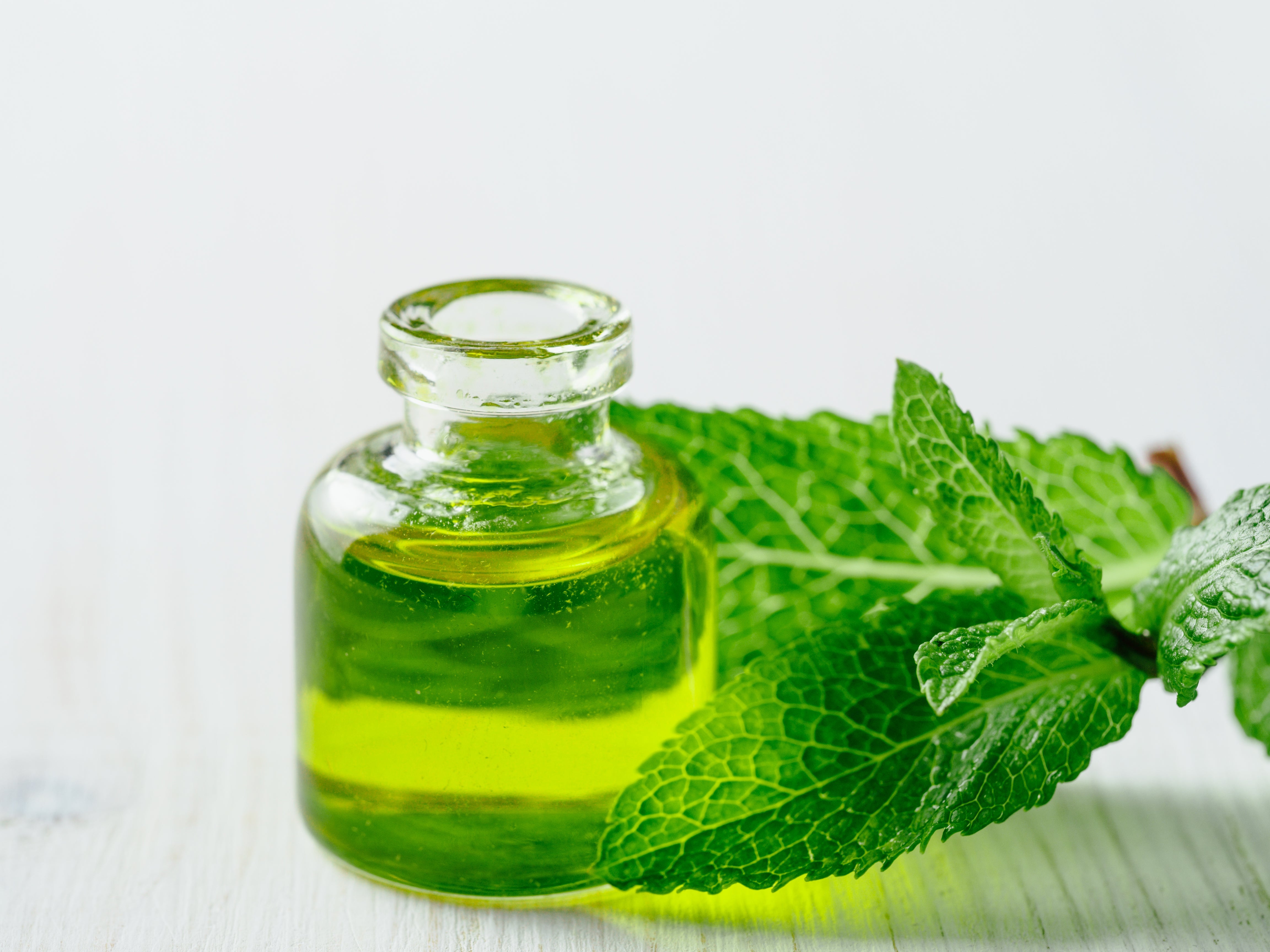 Why Peppermint Essential Oil is a Must in Every House