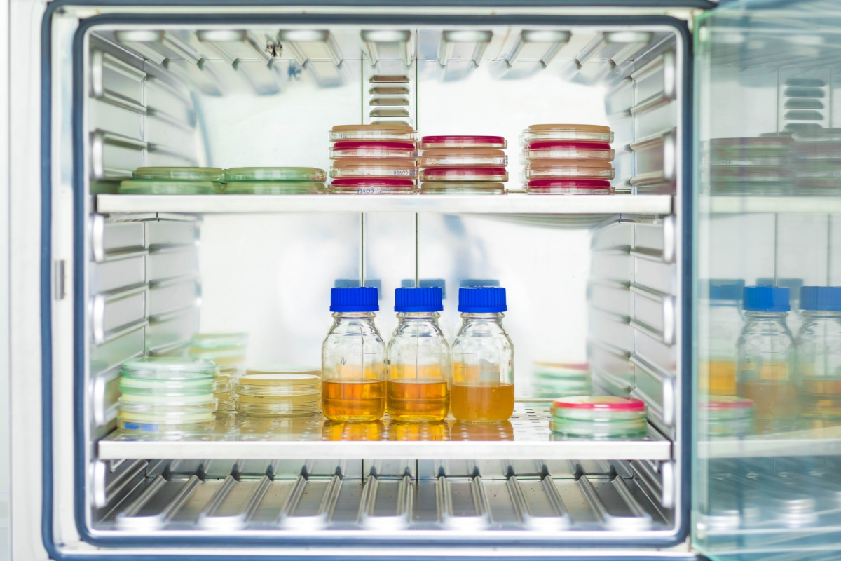 Cold Chain Logistics for Small Labs