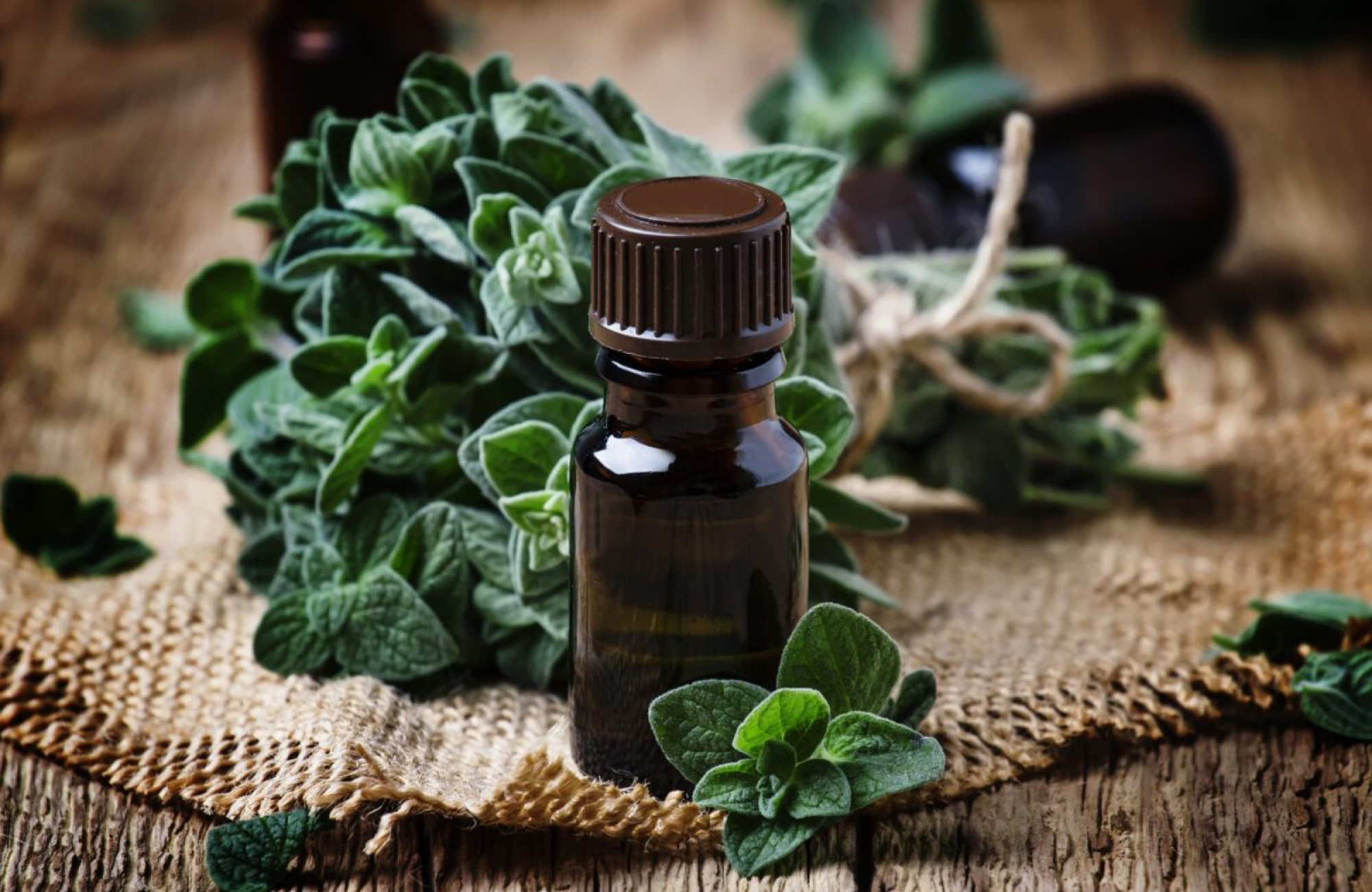 How to Use Oregano Essential Oil for a Healthier Lifestyle