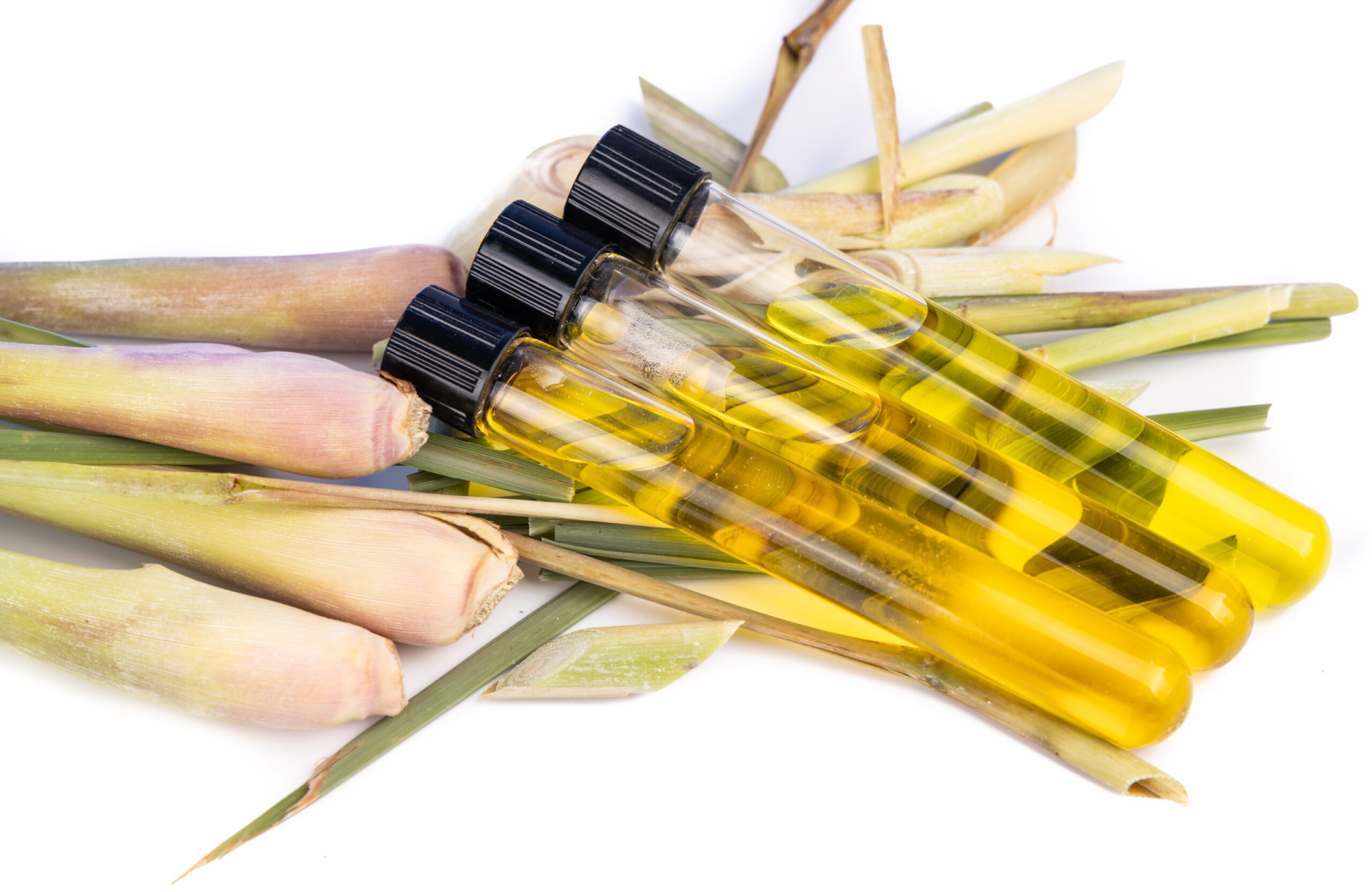 Lemongrass Oil – From Tradition to Today