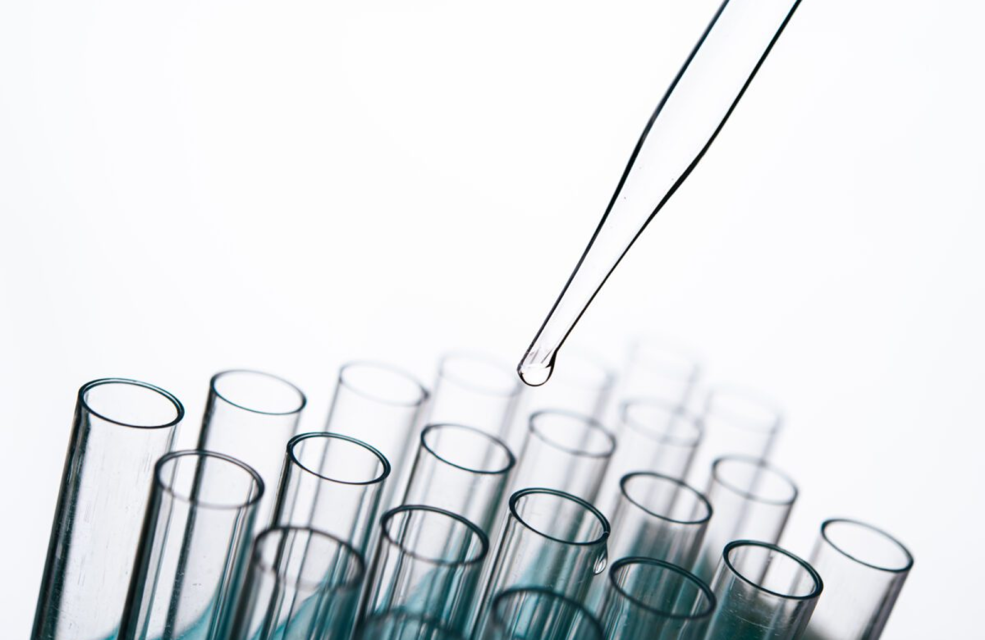 PEG 300 in the Manufacturing of Fine Chemicals