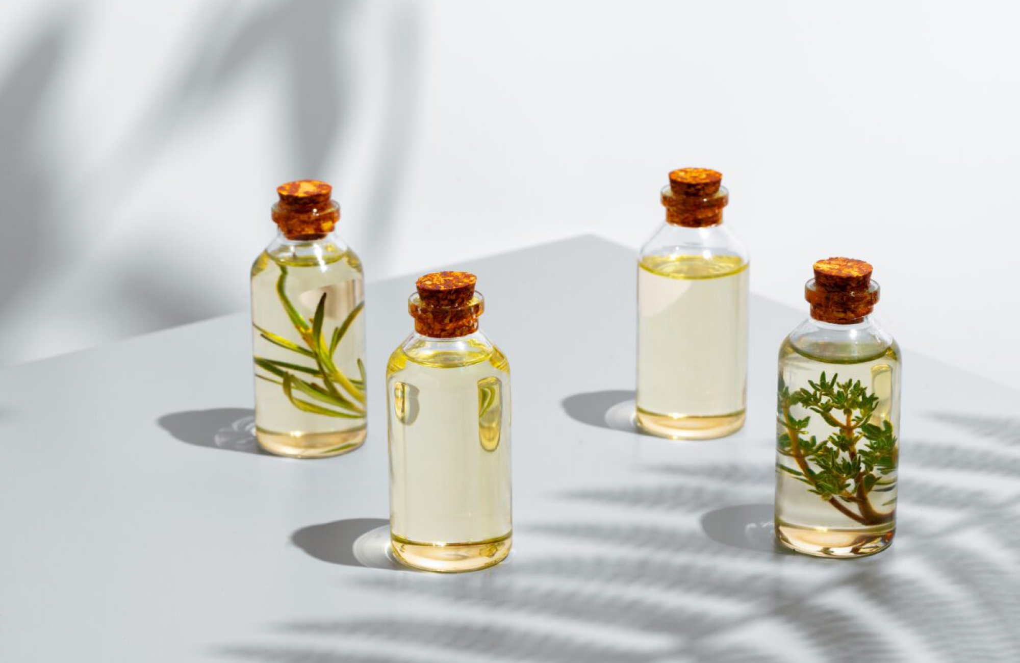 The 12 Must Have Essential Oil Video Series