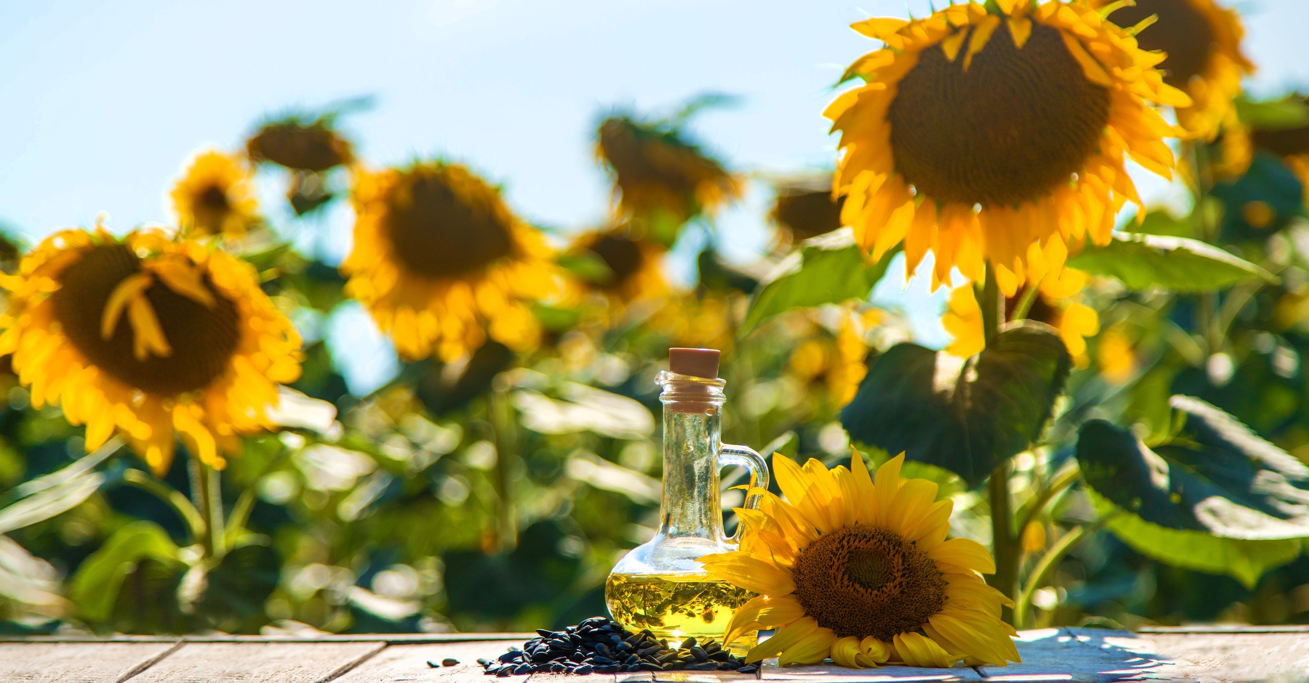 The Powerful and Versatile Benefits of MCT Oil