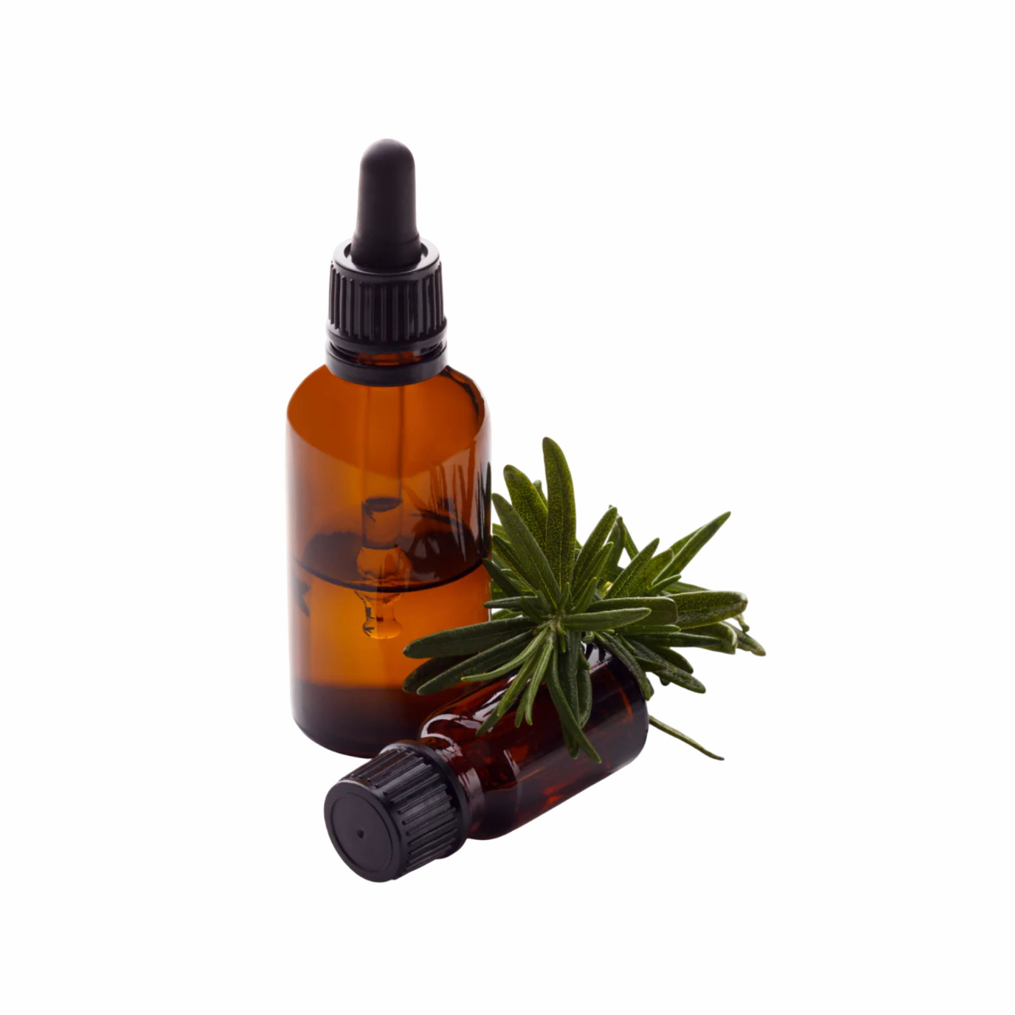 Rosemary Oil