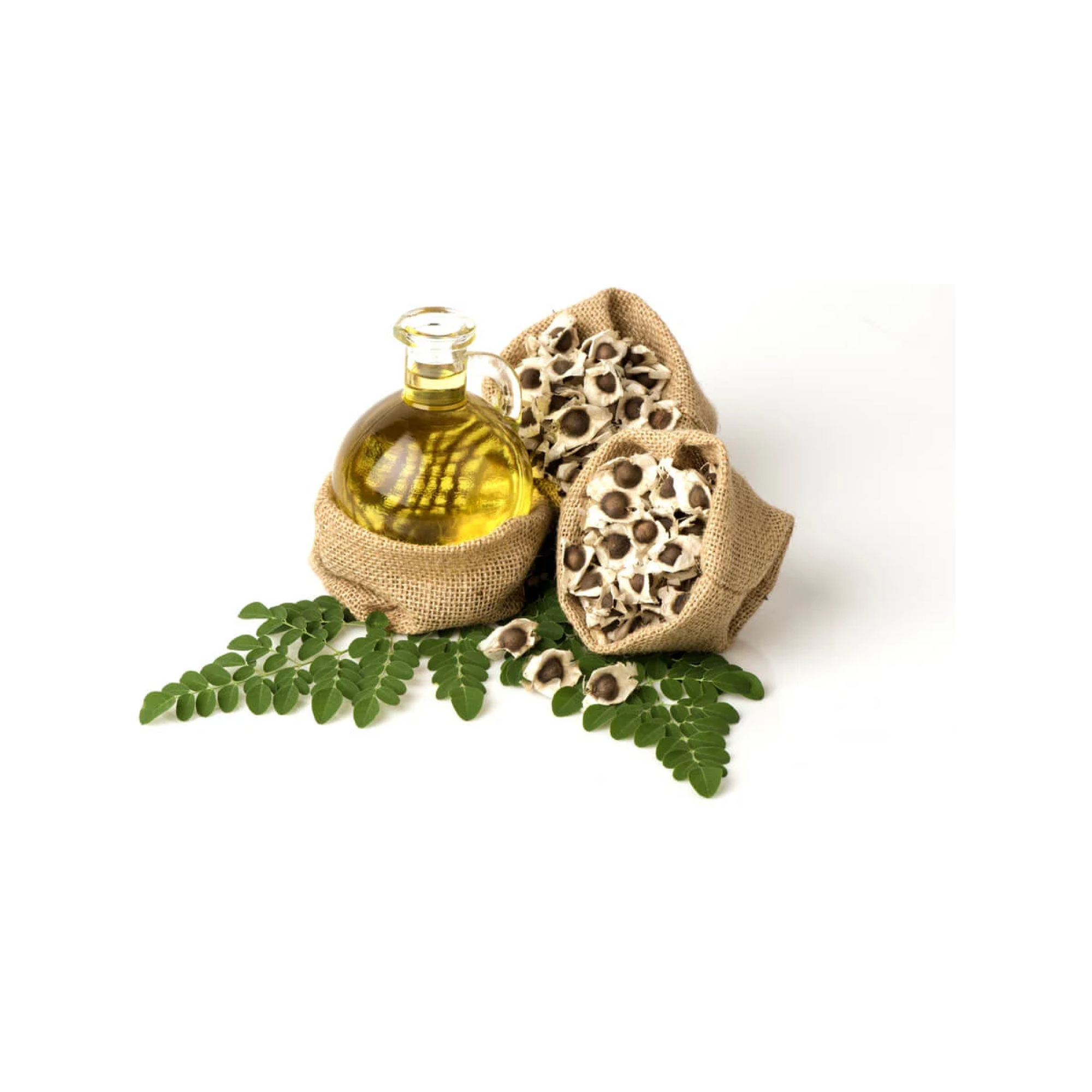 Moringa Oil