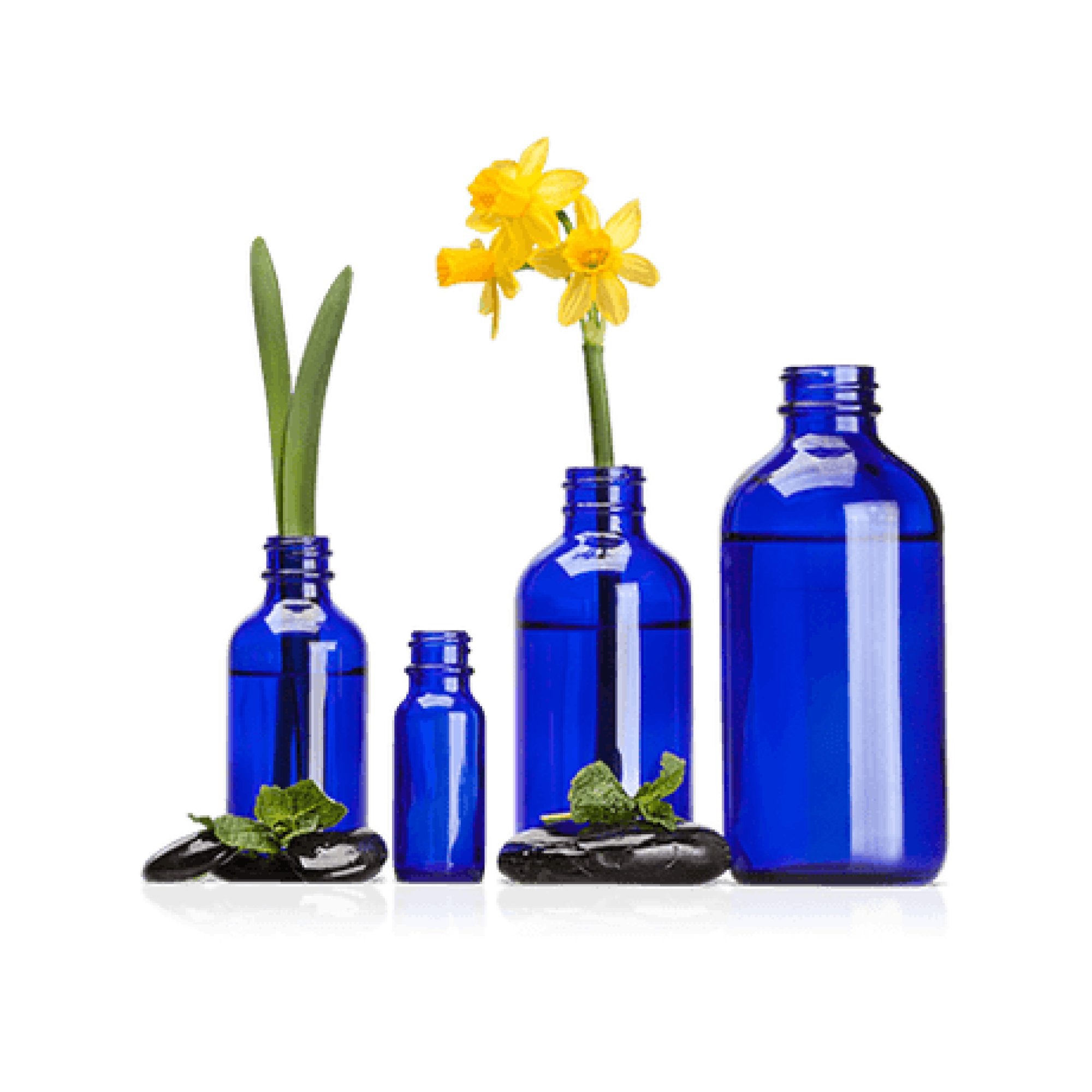 Containers & Blending Accessories