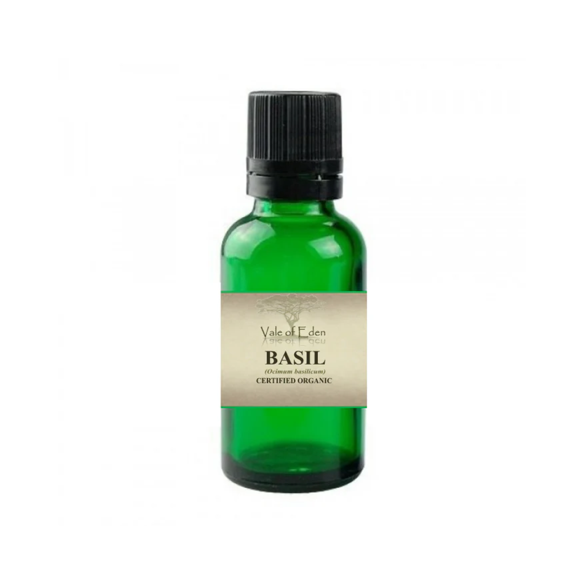 Basil Oil