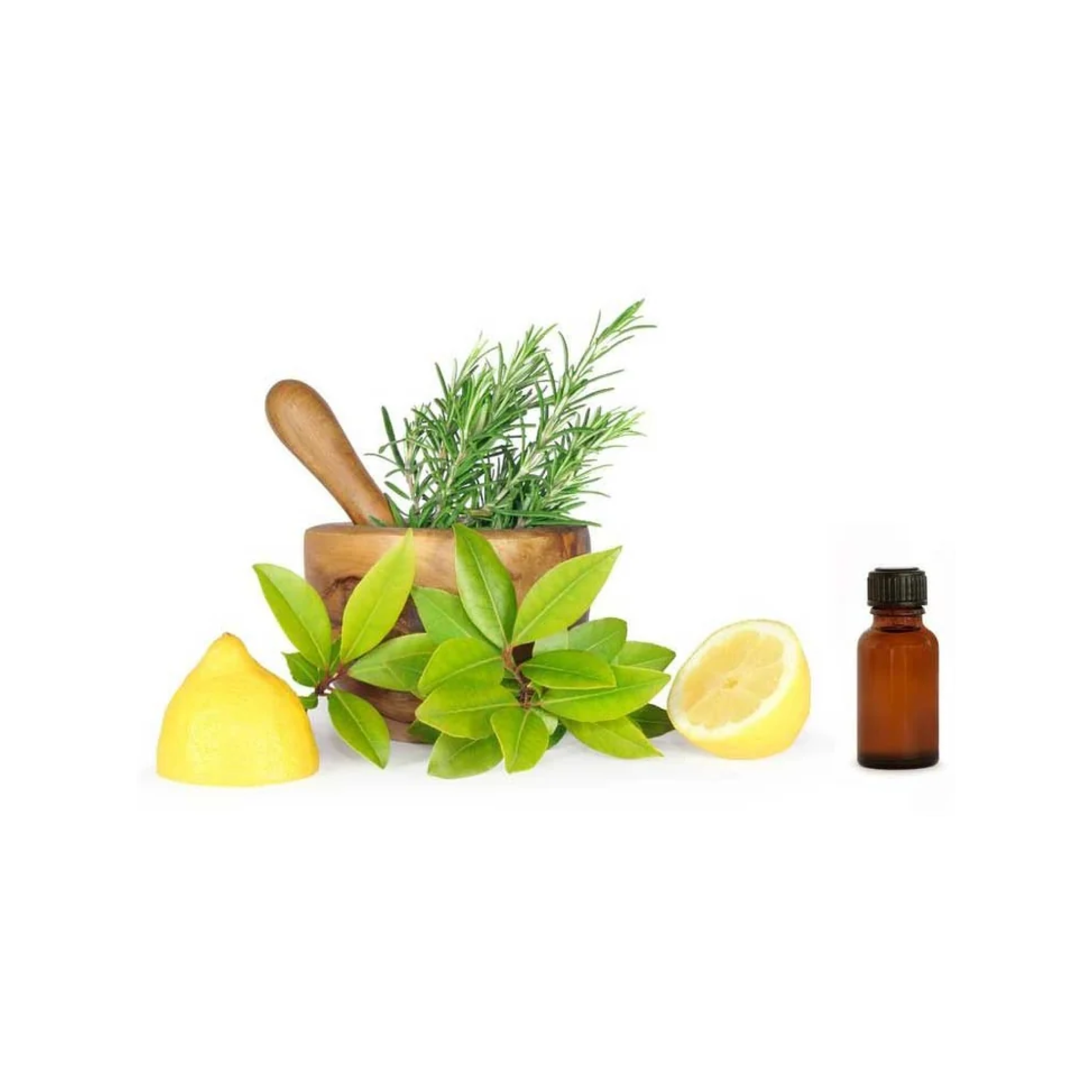 Eucalyptus Lemon Oil