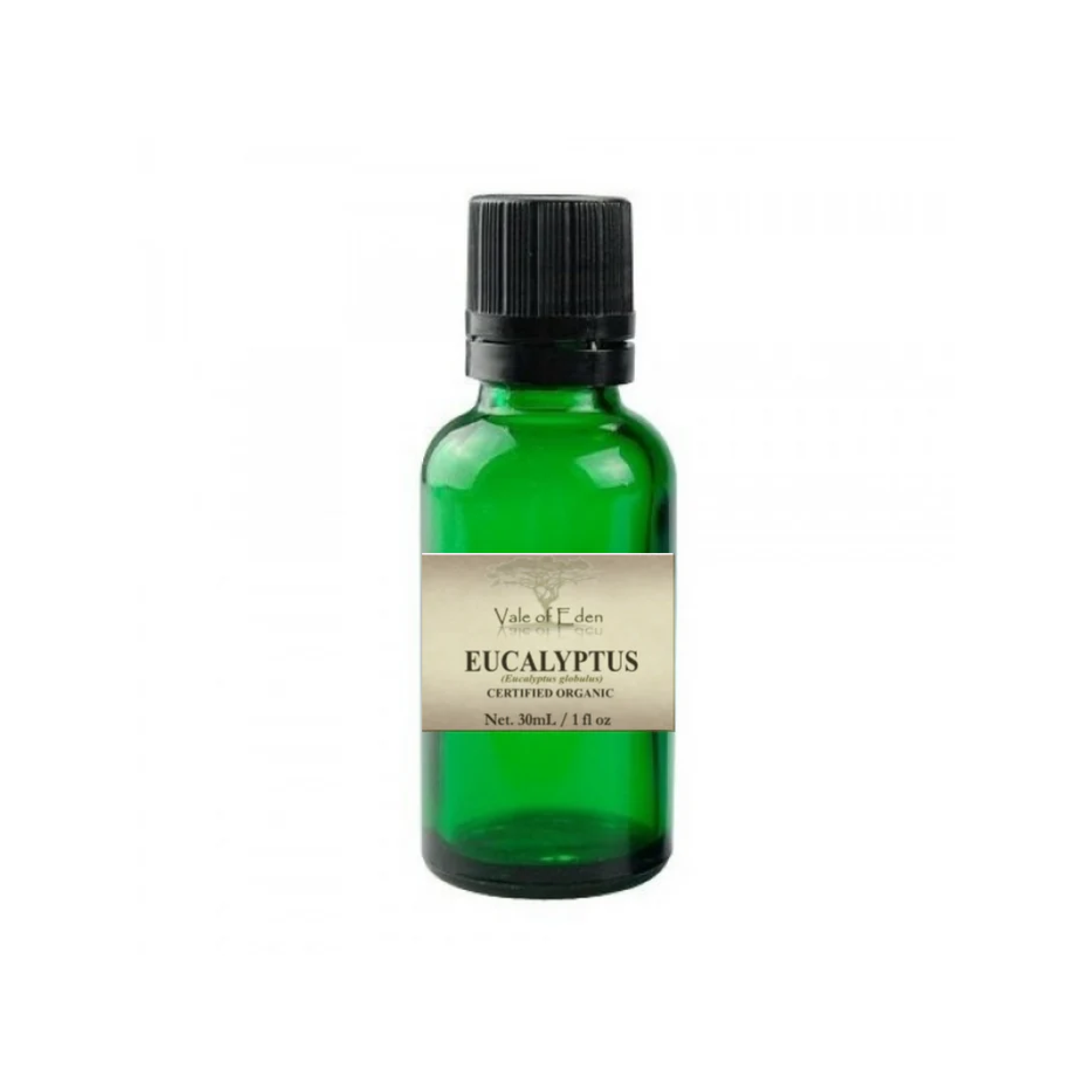 Eucalyptus Oil