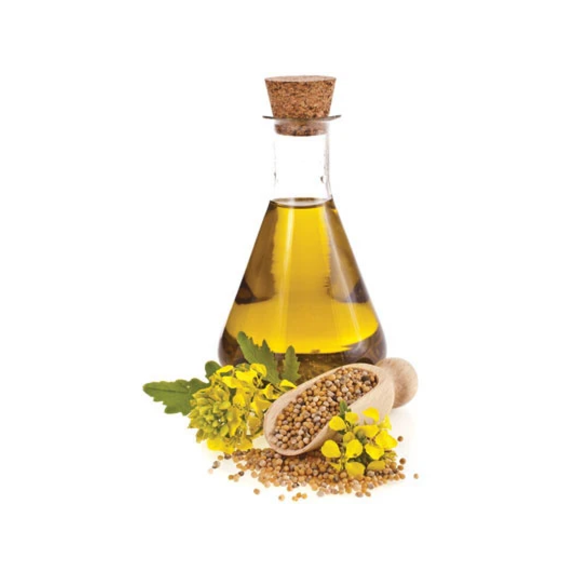 Flax Seed Oil