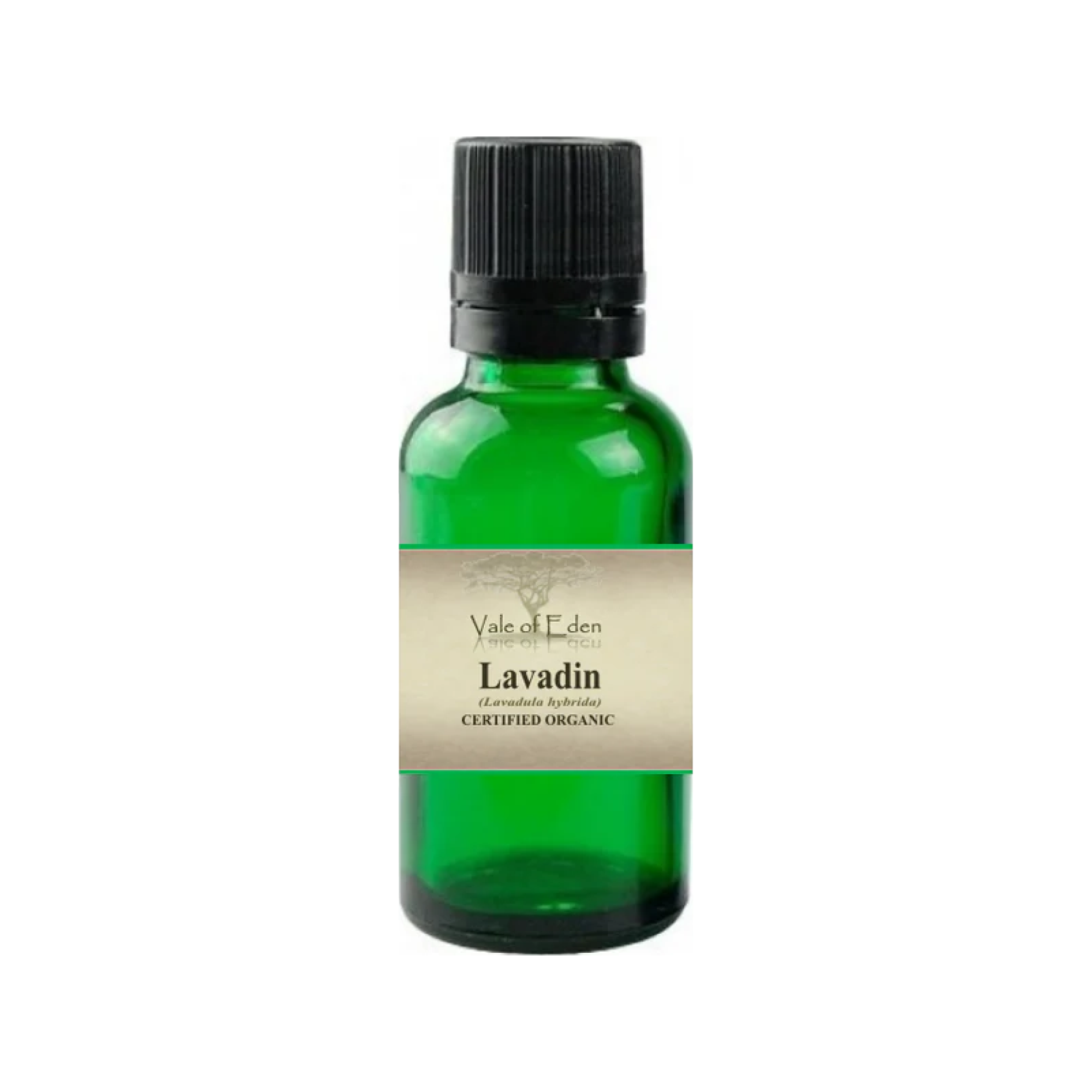 Lavandin Oil