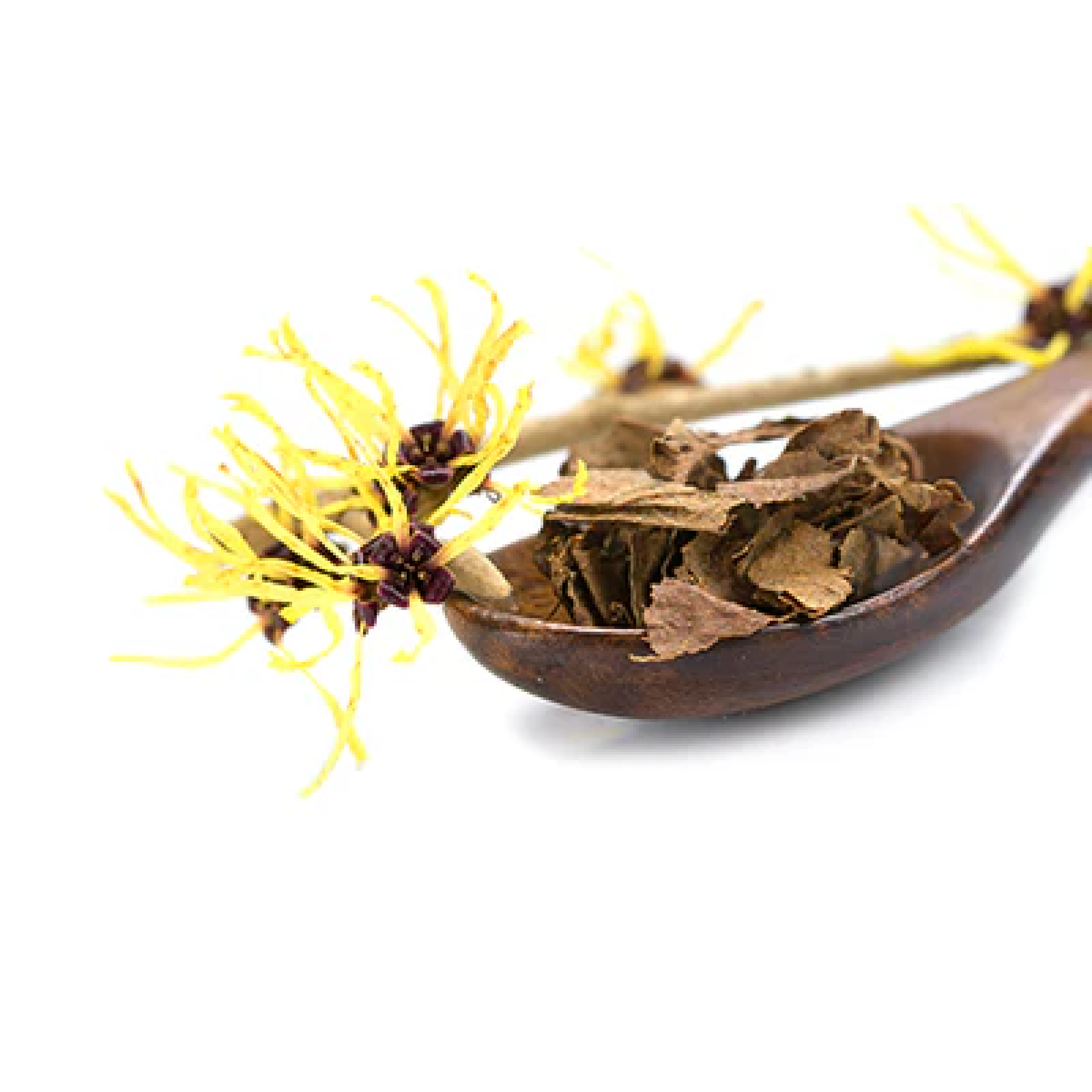 Witch Hazel, Certified Organic, Non-GMO