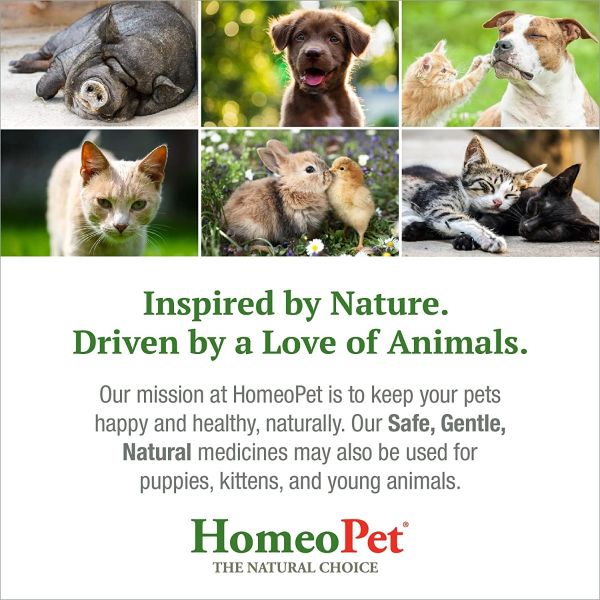 HomeoPet Travel Anxiety-15mL
