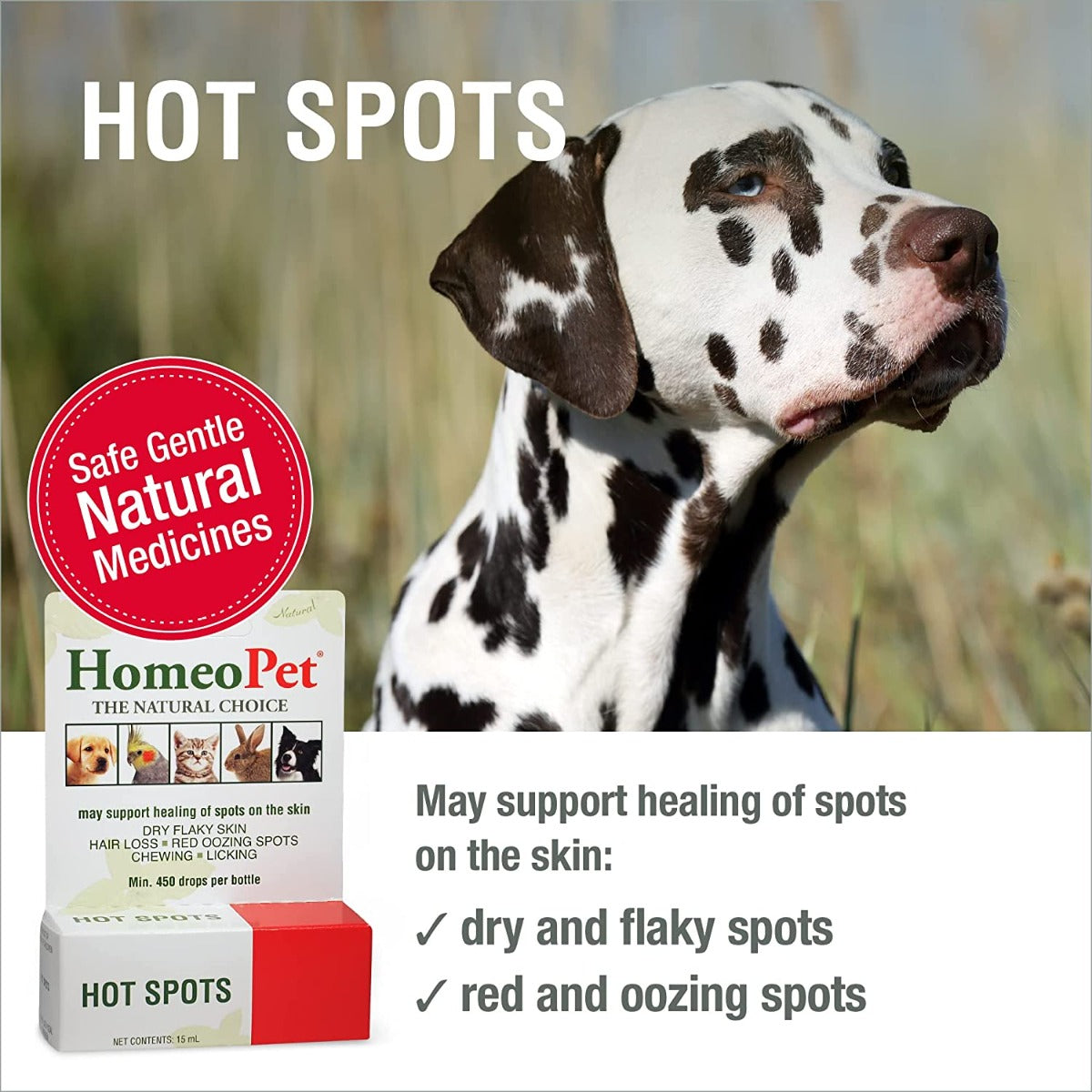 HomeoPet Hot Spots-15ML