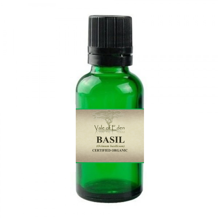 Basil Certified Organic Essential Oil, 15ml, By Vale of Eden