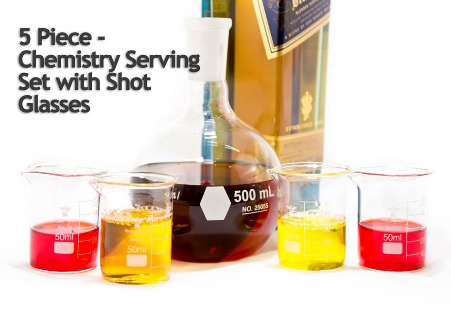 5 piece Chemistry Bar Cocktail Serving Set with 50mL Beaker Glasses