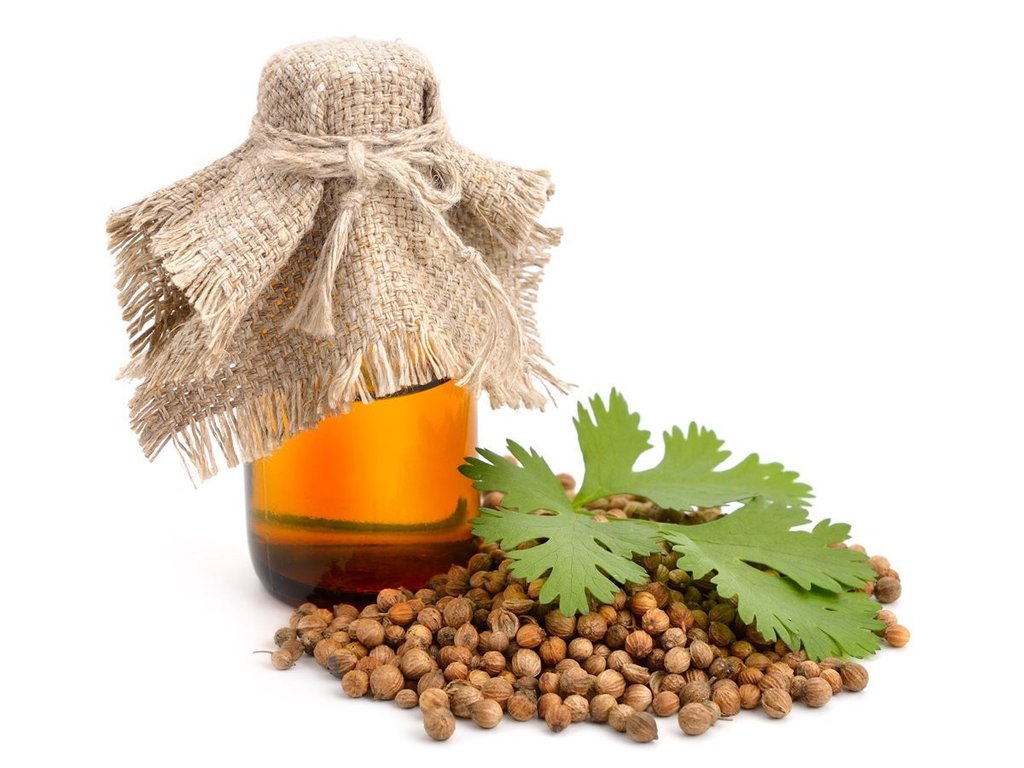 Coriander Essential Oil, 15mL and 30mL, By Vale of Eden