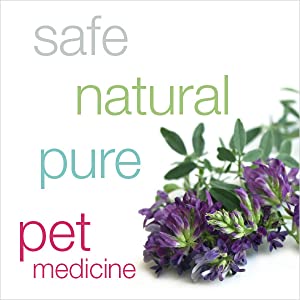 HomeoPet Hot Spots-15ML