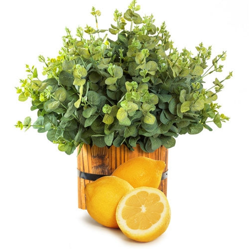 Certified Organic Eucalyptus Lemon Pure Essential Oil, 15ml