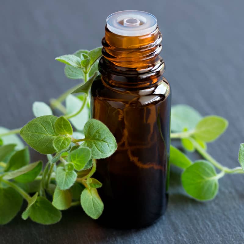 Oregano Organic Pure Essential Oil 15ml, By Vale of Eden