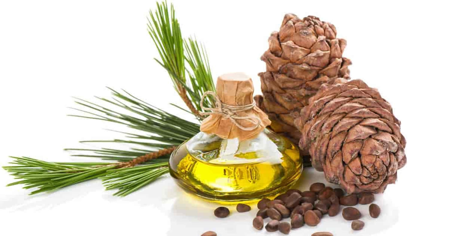 Certified Organic Atlas Cedarwood Pure Essential Oil, 15ml
