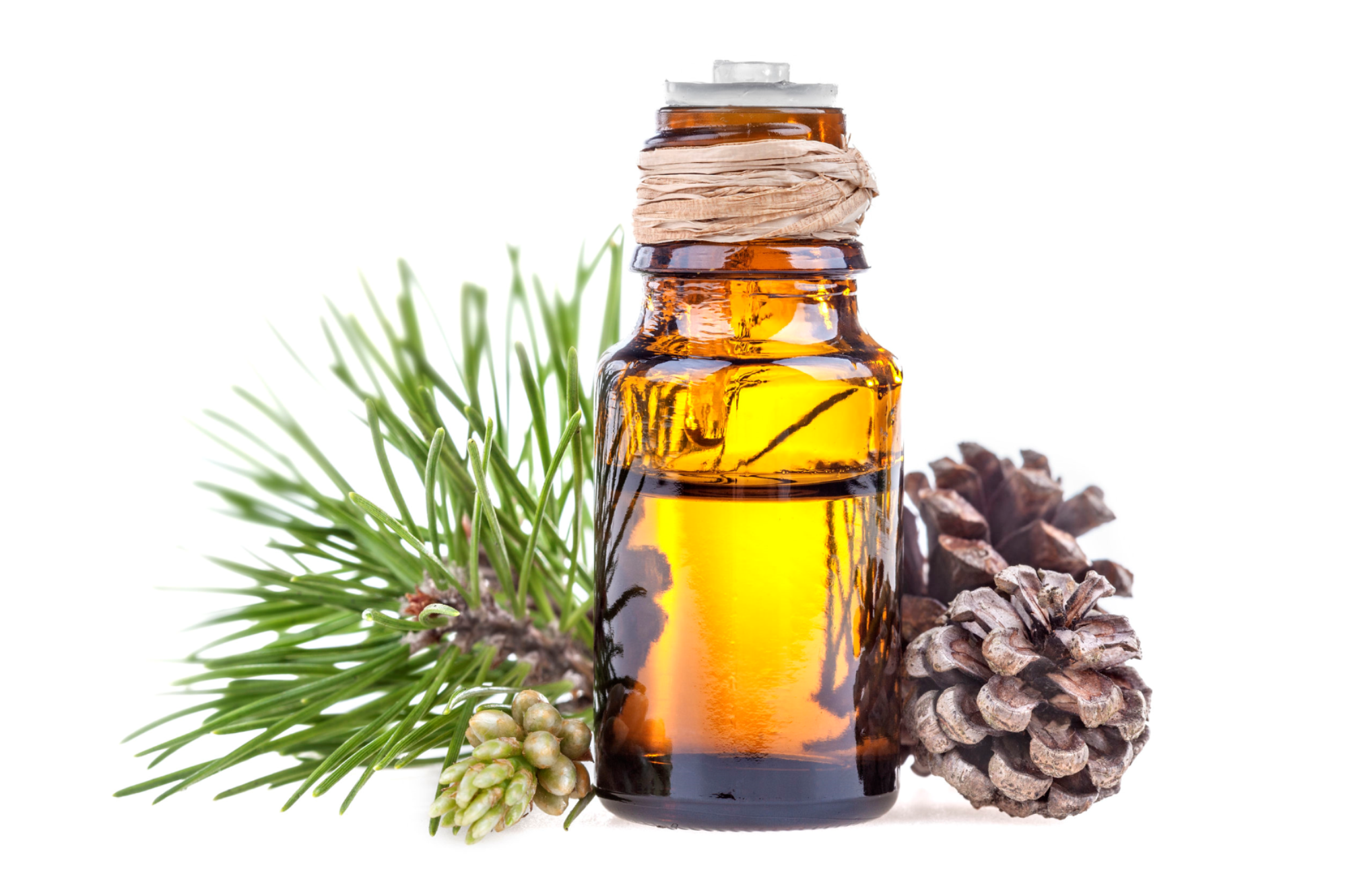 Pine Pure Essential Oil 30ml, By Vale of Eden