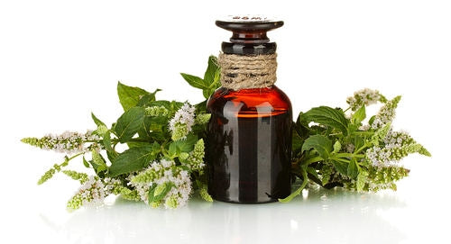 Tea Tree Pure Essential Oil 30ml, By Vale of Eden