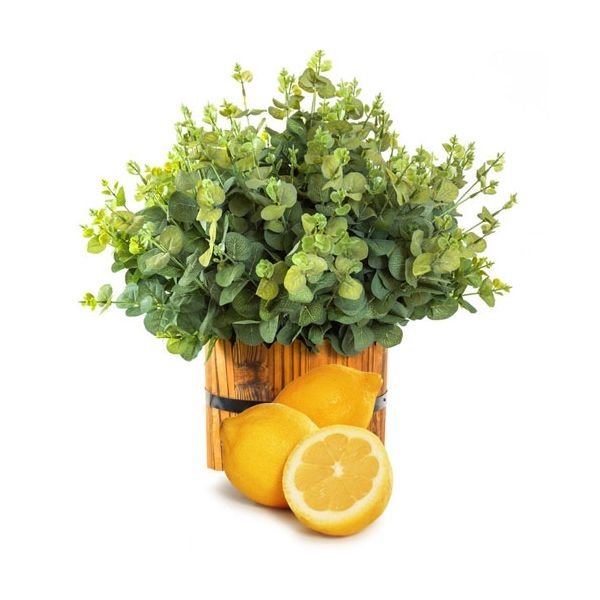 Certified Organic Eucalyptus Lemon Pure Essential Oil