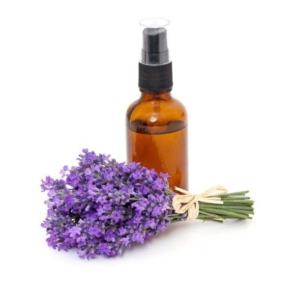 Lavandin Essential Oil, Certified Organic, 100% Pure
