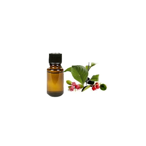 Wintergreen Essential Oil, Therapeutic Grade