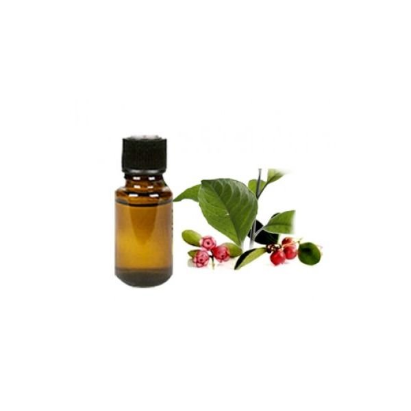 Wintergreen Essential Oil, Therapeutic Grade