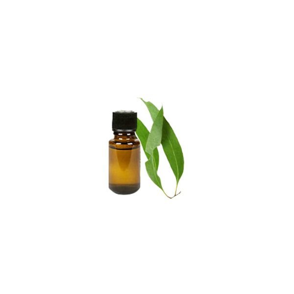 Eucalyptus Essential Oil, Certified Organic, 100% Pure