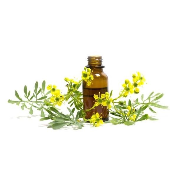 Litsea Cubeba Essential Oil, Pure Therapeutic Grade