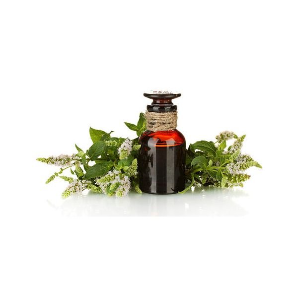 Tea Tree Essential Oil, Therapeutic Grade