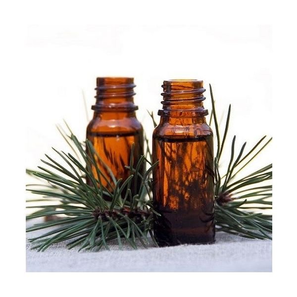 Pine Essential Oil, Pure Therapeutic-grade