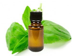 Basil Essential Oil, Certified Organic, 100% Pure