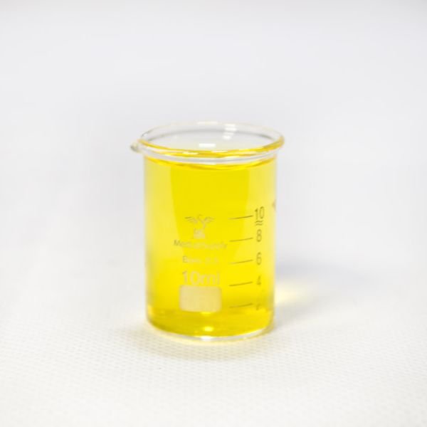 10ML Low Form Graduated Glass Beakers by Med Lab Supply